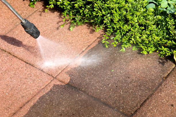 Best Local Pressure Washing Services  in Prosser, WA